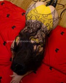 Анкета проститутки Диана - метро Филевский парк, возраст - 28